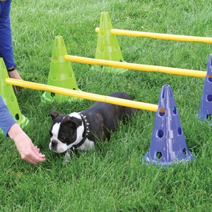 FitPAWS, FitPAWS Hunde-Agility-Set Canine Gym, FitPaws Agility Kit - Gelb/Grün/Blau - - myluckydog