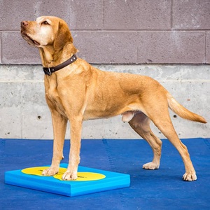 FitPAWS, FitPAWS Balancierkissen Balance Pad, FitPAWS Balancierkissen Balance Pad