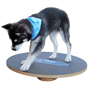 FitPAWS, FitPAWS Balance Board Wobble Board rund klein, FitPaws Wackelbrett