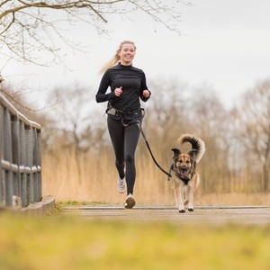 Trixie, TRIXIE Hunde-Jogginggürtel mit Leine Grau und Schwarz, Trixie Jogginggurt mit Leine - grau/schwarz - Gurt: 70 ? 130 cm, Leine: 115 ? 150 cm / 20 mm