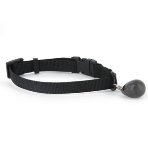 Staywell, Staywell Magnet rund inkl. Halsband assortiert, Staywell Magnet rund inkl. Halsband assortiert
