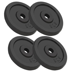 Diverse Hardware, Hantelscheiben 4 Stk. 20 kg Gusseisen, vidaXL Hantelscheiben 4 Stk. 4x5 kg Gusseisen