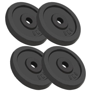Diverse Hardware, Hantelscheiben 4 Stk. 20 kg Gusseisen, vidaXL Hantelscheiben 4 Stk. 4x5 kg Gusseisen