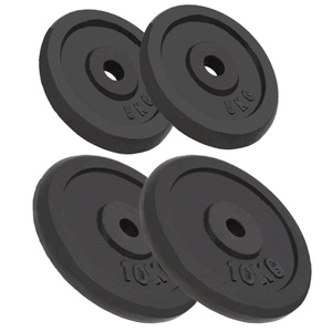 Diverse Hardware, Hantelscheiben 4 Stk. 2 x 10 kg + 2 x 5 kg Gusseisen, vidaXL Hantelscheiben 4 Stk. 2x10 kg+2x5 kg Gusseisen
