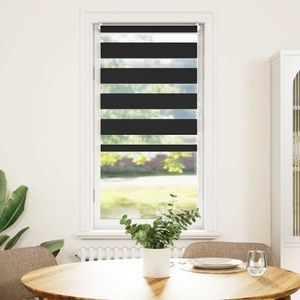 Diverse Hardware, Doppelrollo 60 x 120 cm schwarz, vidaXL Doppelrollo 60 x 120 cm schwarz