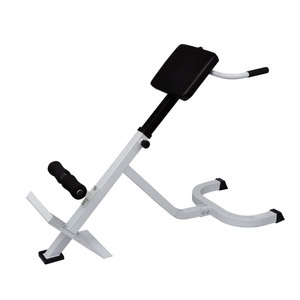 vidaXL, vidaXL Rücken- und Bauchtrainer, vidaXL Rücken- und Bauchtrainer