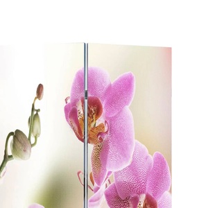 Diverse Hardware, Foto-Paravent Paravent Raumteiler Blumen 120 x 180 cm, vidaXL Raumteiler klappbar 120 x 170 cm Blume
