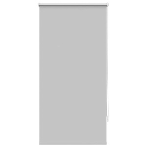 Diverse Hardware, Verdunklungsrollo Verdunkelungsrollo Rollo 60x120 grau, vidaXL Verdunklungsrollo Verdunkelungsrollo Rollo 60x120 grau