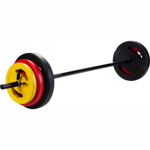 Diverse Hardware, Pure2Improve Zement Hantelset 20 kg, Langhantel »FTM 20 kg« 20 kg