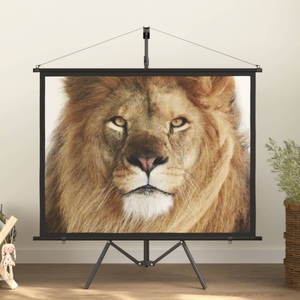 vidaXL, vidaXL Beamer-Leinwand mit Stativ 60