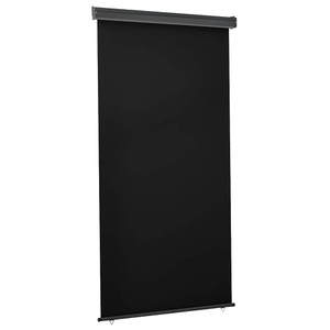 vidaXL Balkon-Seitenmarkise 120 × 250 cm Schwarz