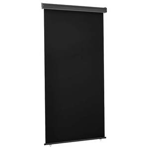 vidaXL, vidaXL Balkon-Seitenmarkise 120 × 250 cm Schwarz