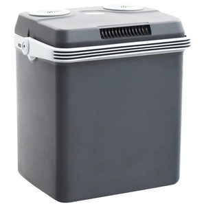 vidaXL, vidaXL Tragbare Thermoelektrische Kühlbox 32 L 12V 230V A++, 