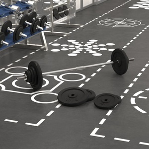 vidaXL, vidaXL Langhantel mit Gewichten 60 kg