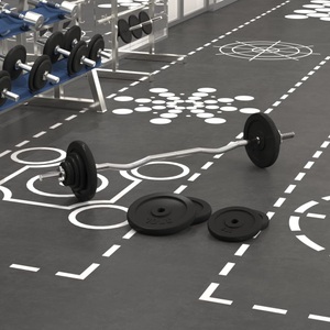 vidaXL, vidaXL Langhantel mit Gewichten 60 kg, vidaXL Langhantel mit Hantelscheiben 60 kg Gusseisen & Stahl verchromt