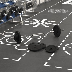 vidaXL, vidaXL Langhantel mit Gewichten 60 kg