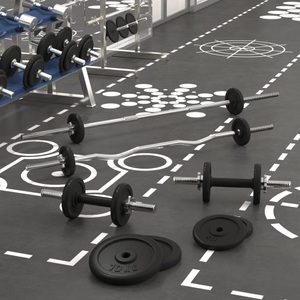 vidaXL, vidaXL Langhantel und Kurzhantel mit Gewichten 60 kg, 