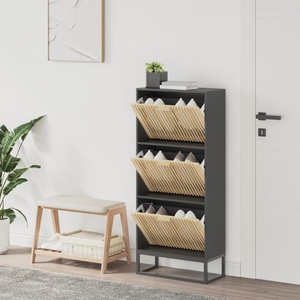 vidaXL, vidaXL Schuhschrank Schwarz 52x25x120 cm Holzwerkstoff