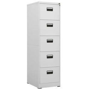 vidaXL, vidaXL Aktenschrank Hellgrau 46x62x164 cm Stahl, 