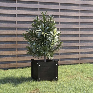vidaXL, vidaXL Pflanzkübel Schwarz 31x31x31 cm Massivholz Kiefer, vidaXL Pflanzkübel Schwarz 31x31x31 cm Massivholz Kiefer