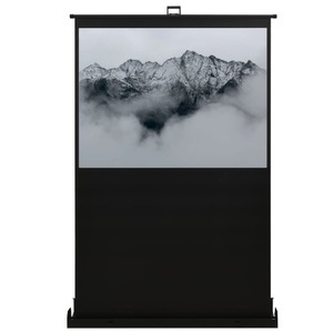 vidaXL, vidaXL Bodenleinwand 55