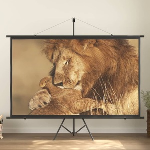 vidaXL, vidaXL Beamer-Leinwand mit Stativ 100