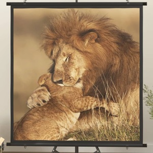 vidaXL, vidaXL Beamer Leinwand 47" 1:1, vidaXL Beamer Leinwand 67" 1:1