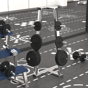 vidaXL, vidaXL Hantelscheibe 20 kg Gusseisen, vidaXL Hantelscheibe 20 kg Gusseisen