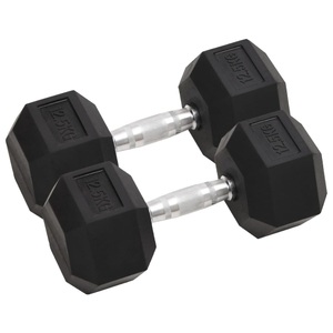 vidaXL, vidaXL Kurzhanteln 2 Stk. 25 kg Gusseisen, 