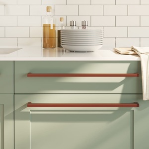 vidaXL, vidaXL Möbelgriffe 10 Stk. Bronzen 480 mm Edelstahl, 