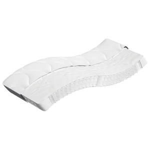 vidaXL, vidaXL Matratze Taschenfederkern Mittel 80x200 cm