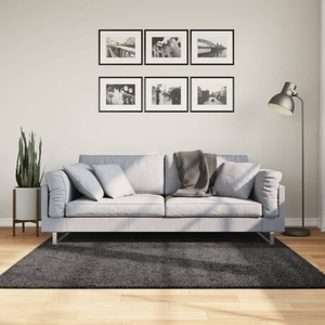 vidaXL, vidaXL Teppich Shaggy Hochflor Modern Anthrazit 160x160 cm