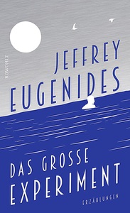 undefined, Das große Experiment, Das große Experiment