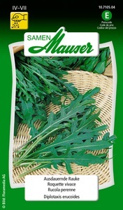 Samen Mauser, Ausdauernde Rauke, Samen Mauser Ausdauernde Rauke