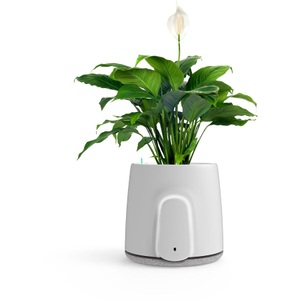 Vitesy, Vitesy Natede Smart Luftreiniger, 