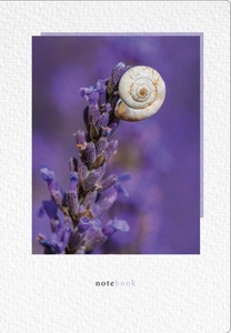 Natur Verlag, NATUR VERLAG Notizbuch Crushpaper A5 11003N Lavendel Foto, dotted, NATUR VERLAG Notizbuch Crushpaper A5 11003N Lavendel Foto, dotted