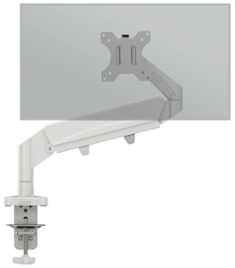 LEITZ Monitorarm Ergo 6489-00-85 Grau, single