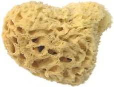 Herba, Echter Naturschwamm, Ø 11 cm, Herba Echter Naturschwamm, Ø 11 cm