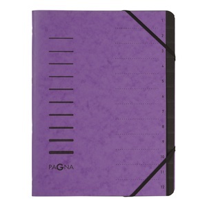 undefined, Pagna 40059-10 folder A4 Purple, PAGNA Ordnungsmappe 12 Fächer 40059-10 aubergine 1-12