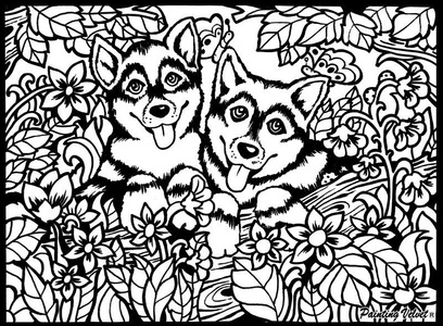 TataRuga, Bild aus Samt zum Ausmalen Bild aus Samt zum Ausmalen, TATARUGA Samtbild Malkarton, A4 Huskys