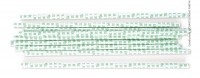 ScrapCooking, Scrapcooking - 20er-Set Papier-Trinkhalme Rosaces - Seegrün, 