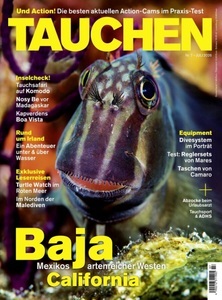 tauchen, tauchen