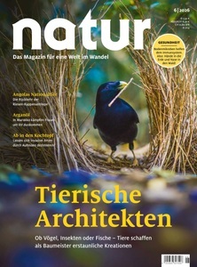 natur, natur
