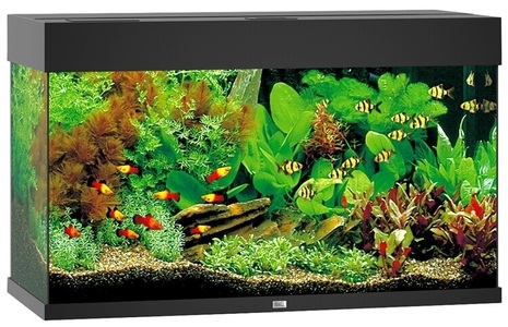 Juwel, Juwel Aquarium Rio 125, 81x36x50cm, sw, Juwel Aquarium Rio 125 81x36x50cm schwarz