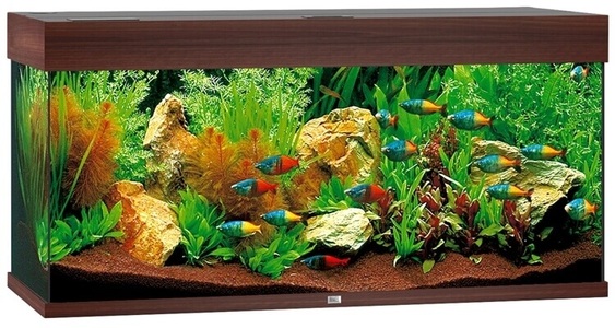 Juwel, Juwel Aquarium Rio 180 101x41x50cm db, 