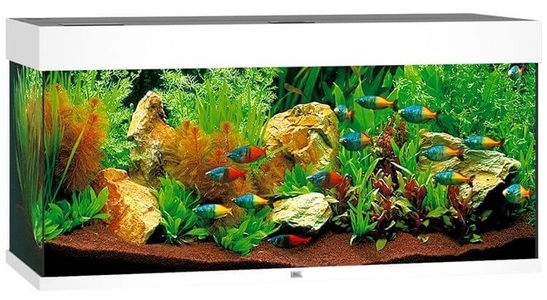 Juwel, Juwel Aquarium Rio 180 101x41x50cm weiss, Juwel Aquarium Rio 180 101x41x50cm weiss