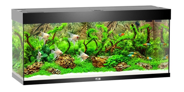 Juwel, Juwel Aquarium Rio 350, 121x51x66cm, sw, Juwel Aquarium Rio 350 121x51x66cm schwarz