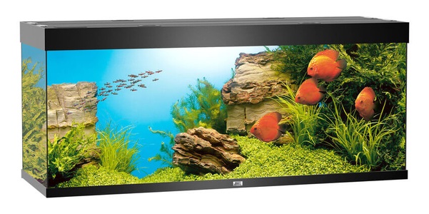 Juwel, Juwel Aquarium Rio 450, 151x51x66cm, sw, Juwel Aquarium Rio 450 151x51x66cm schwarz