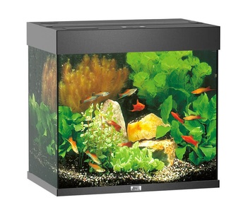 Juwel, Juwel Aquarium Lido 120, 61x41x58cm, sw, Juwel Aquarium Lido 120 61x41x58cm schwarz