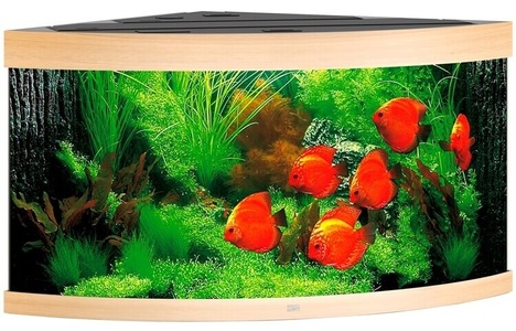 Juwel, Juwel Trigon Aqua. 350,123x87x65cm, hell, Juwel Aquarium Trigon 350 LED, helles Holz